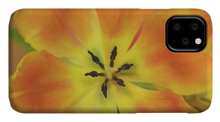 Tulip iPhone 11 Case featuring the photograph Gold Tulip Explosion by Teresa Wilson
