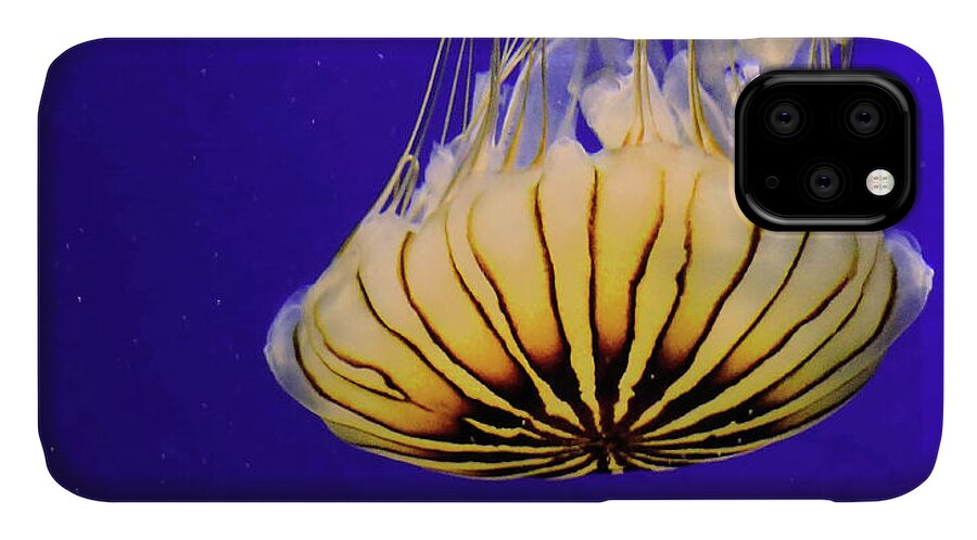 Fish iPhone 11 Case featuring the photograph Golden Jellyfish by Rosalie Scanlon