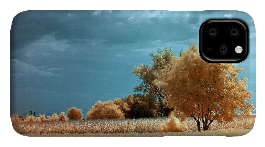 Landscape iPhone 11 Case featuring the photograph Golden summerscape by Helga Novelli