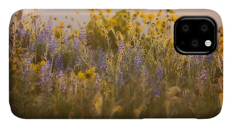 Flora iPhone 11 Case featuring the photograph Golden Wildflowers by Jon Ares