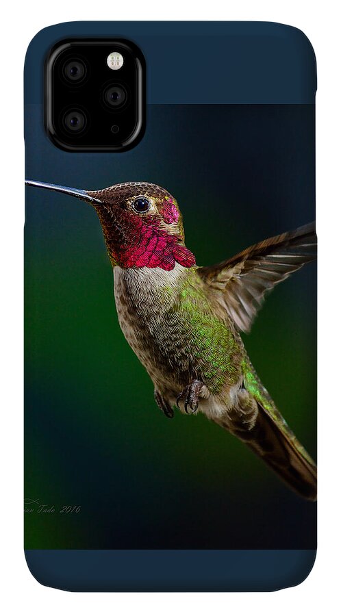 Bird iPhone 11 Case featuring the photograph Good Friday Visitor by Brian Tada