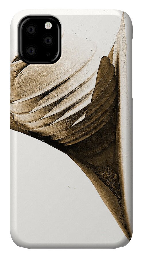 Abstract iPhone 11 Case featuring the photograph Greek Urn by Meirion Matthias