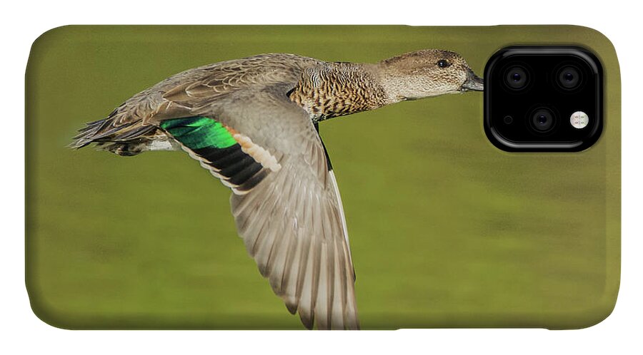 Green iPhone 11 Case featuring the photograph Green-winged Teal 6320-100217-2cr by Tam Ryan