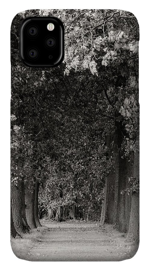 Trees iPhone 11 Case featuring the photograph Greeted by Trees by Wim Lanclus