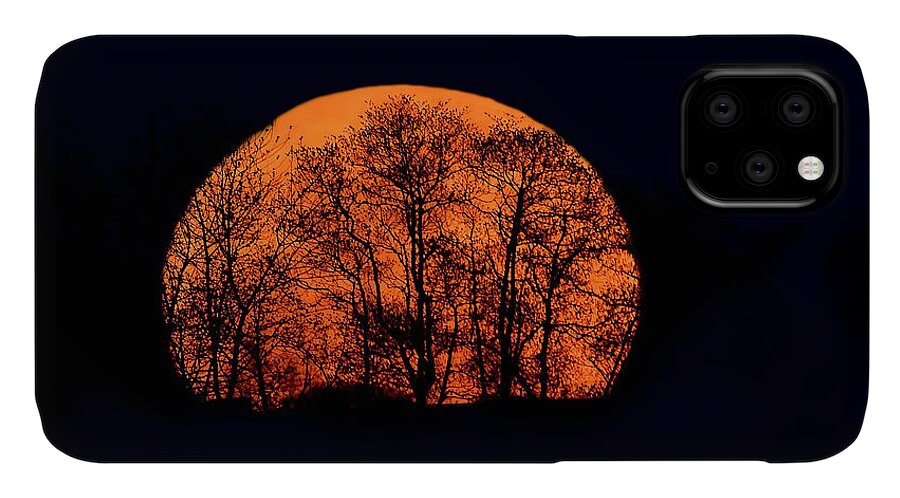 Moon iPhone 11 Case featuring the photograph Harvest Moon Rising by William Jobes