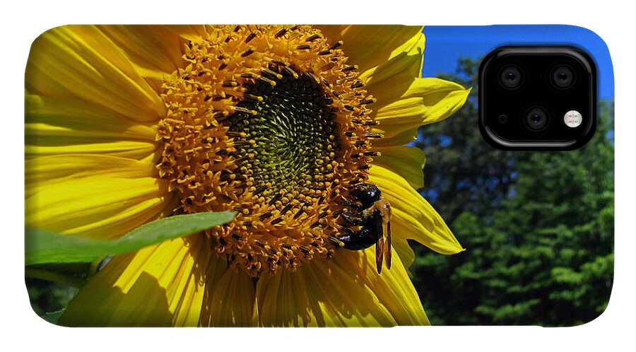 Bumblebee iPhone 11 Case featuring the photograph Harvest by Rockybranch Dreams