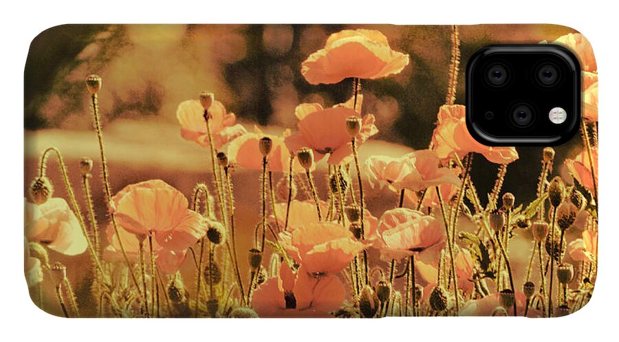  iPhone 11 Case featuring the painting Hillside Poppies and Sunset by Douglas MooreZart