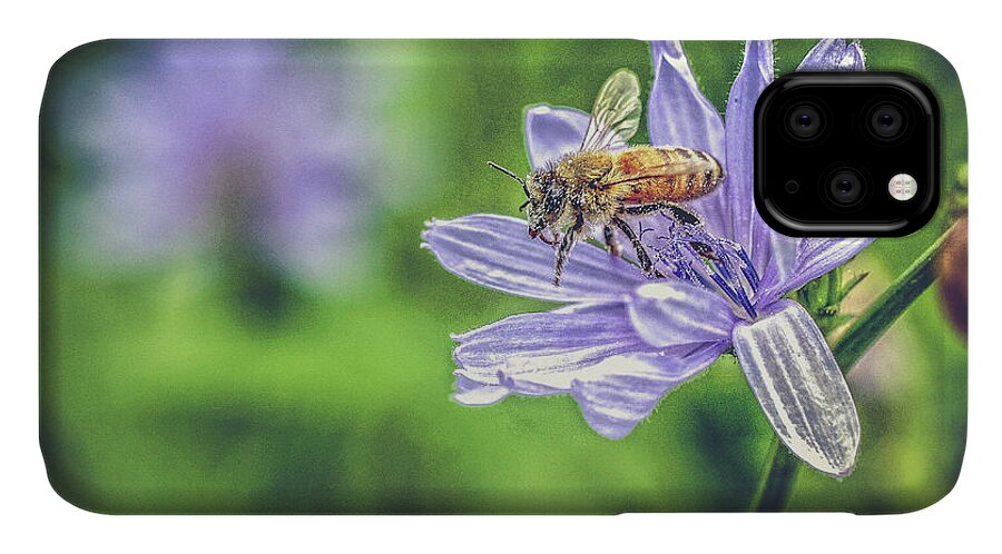 Flower iPhone 11 Case featuring the photograph Honey Bee and Flower by Eleanor Abramson