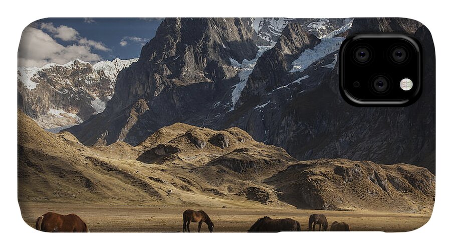 00498204 iPhone 11 Case featuring the photograph Horses Grazing Under Siula Grande by Colin Monteath