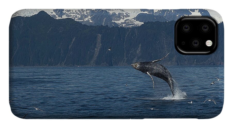 Alaska iPhone 11 Case featuring the photograph Humback Whale Arching Breach by Ian Johnson