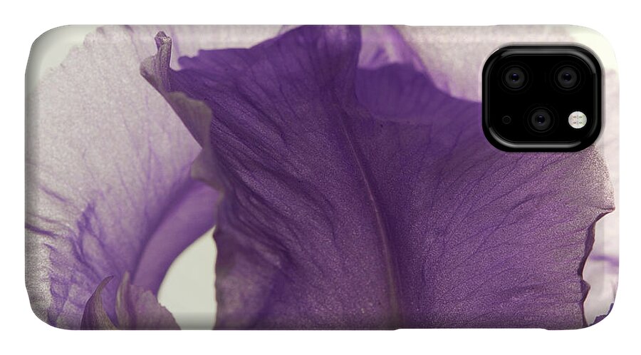 Iris iPhone 11 Case featuring the photograph Simplicity of the Purple Iris by Kevin Schwalbe