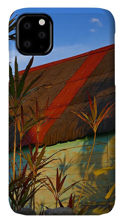 It's My Party iPhone 11 Case featuring the photograph It's My Party by Skip Hunt