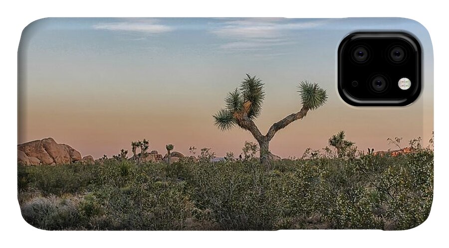 Joshua Tree iPhone 11 Case featuring the photograph Joshua Tree Evening by Alison Frank