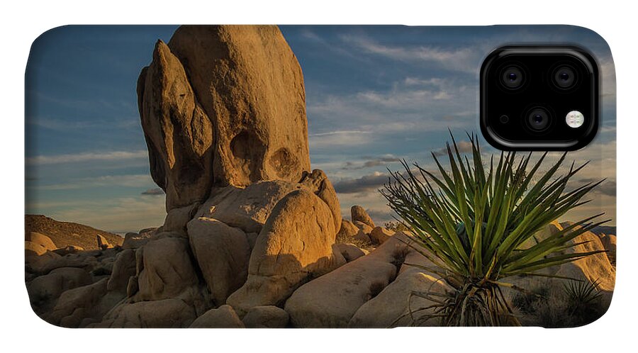 Joshua Tree iPhone 11 Case featuring the photograph Joshua Tree Rock Formation by Ed Clark