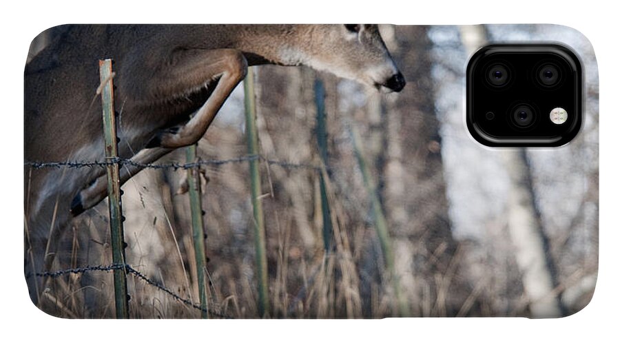 Buck iPhone 11 Case featuring the photograph Jumping White-tail Buck by Gary Beeler