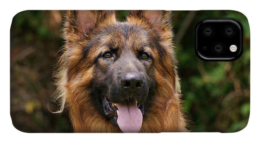 German Shepherd iPhone 11 Case featuring the photograph Kaiser - German Shepherd by Sandy Keeton