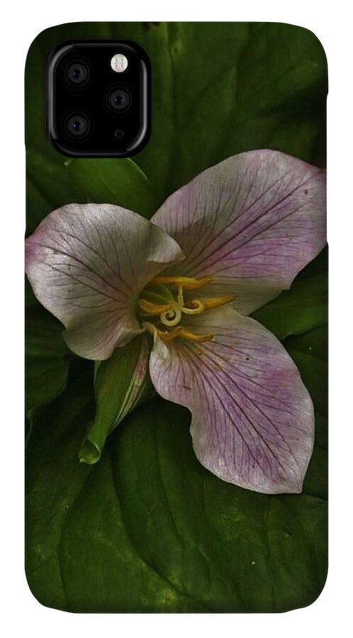 Nature iPhone 11 Case featuring the photograph La Bonita Trillium by Charles Lucas