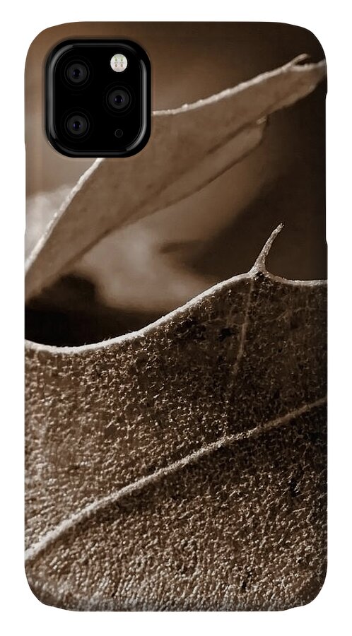 Macro iPhone 11 Case featuring the photograph Leaf Study in Sepia II by Lauren Radke