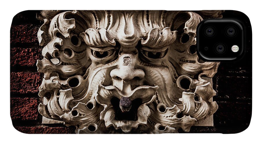 Atlanta iPhone 11 Case featuring the photograph Lion Head by Kenny Thomas