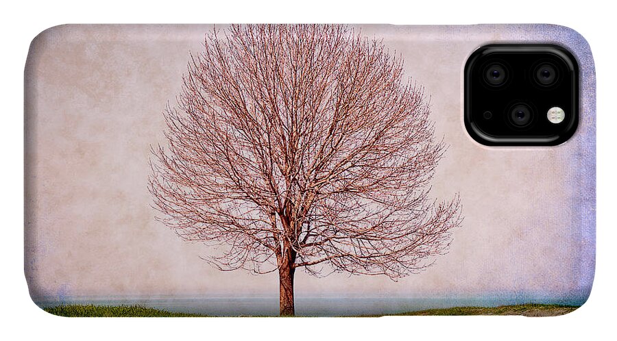 Tree iPhone 11 Case featuring the photograph Lone Tree by Milena Ilieva