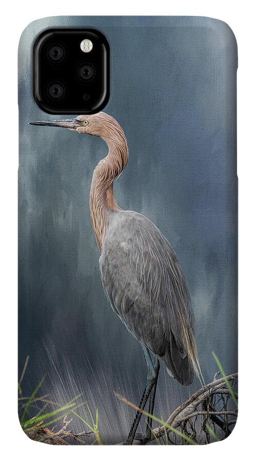 Reddish Egret iPhone 11 Case featuring the photograph Looking for Food by Kim Hojnacki