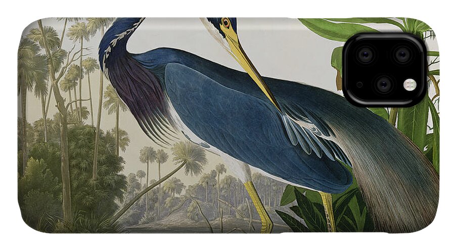 #faatoppicks iPhone 11 Case featuring the painting Louisiana Heron by John James Audubon