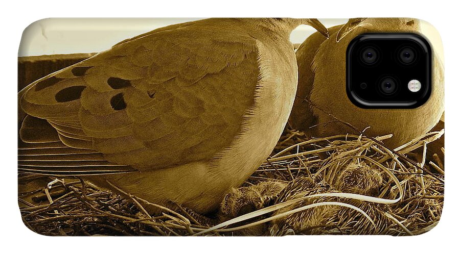 Birds iPhone 11 Case featuring the photograph Love Birds by Diana Hatcher