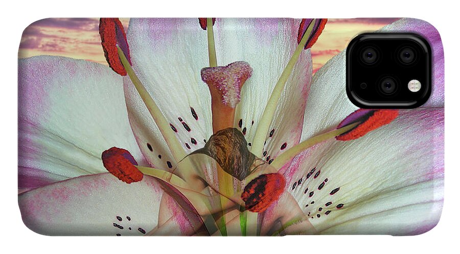 Fine Art iPhone 11 Case featuring the digital art Love by Torie Tiffany