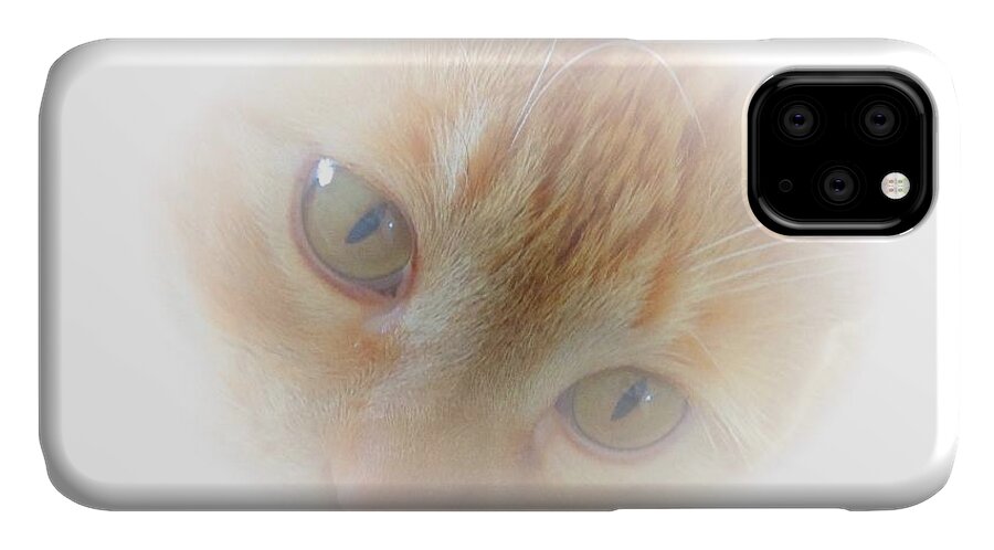 American iPhone 11 Case featuring the photograph Magic Eyes by Judy Kennedy