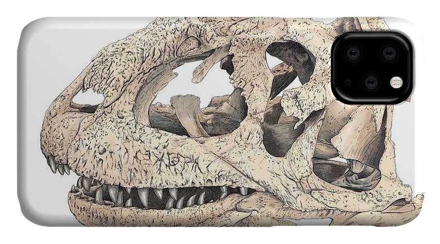 Majungasaur iPhone 11 Case featuring the digital art Majungasaur Skull by Rick Adleman
