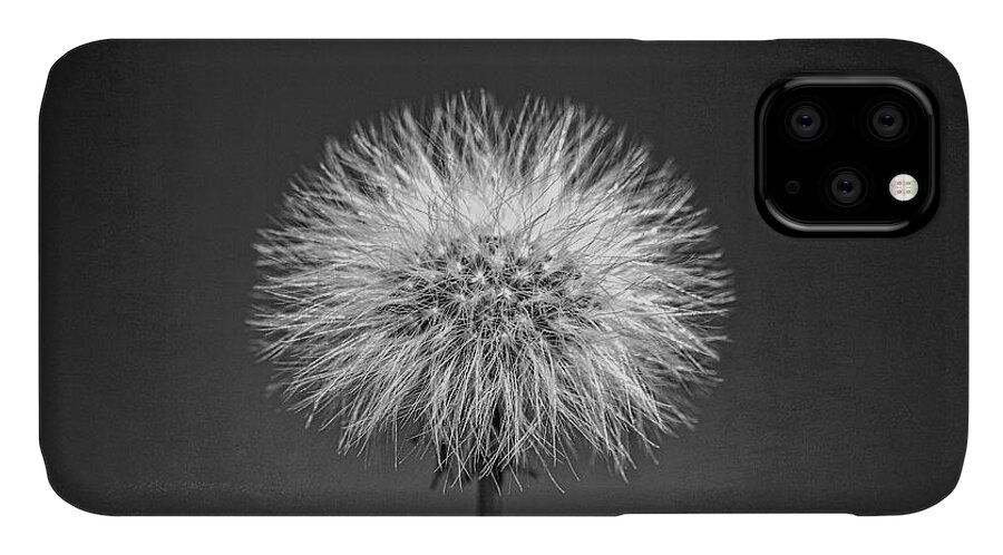 Dandelion iPhone 11 Case featuring the photograph Make a Wish on a Dandelion by Catherine Reading