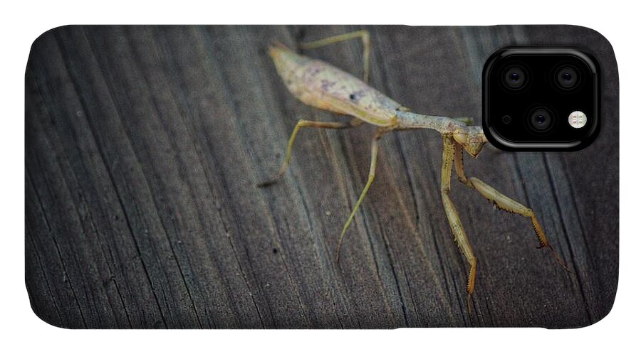 Mantis iPhone 11 Case featuring the photograph Mantis by Joseph Caban