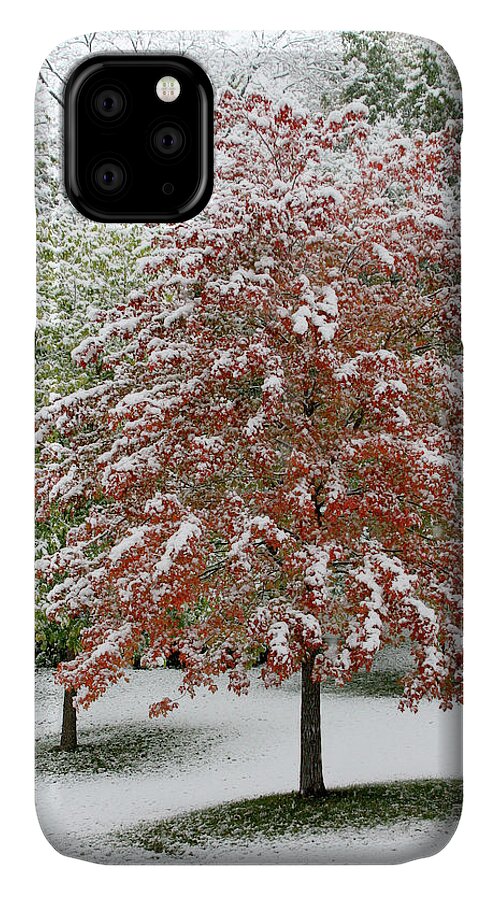 Maple Tree in the First Snow iPhone 12 Case by Hermes Fine Art - Instaprints