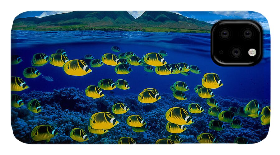 B1929 iPhone 11 Case featuring the photograph Maui Butterflyfish by Dave Fleetham - Printscapes