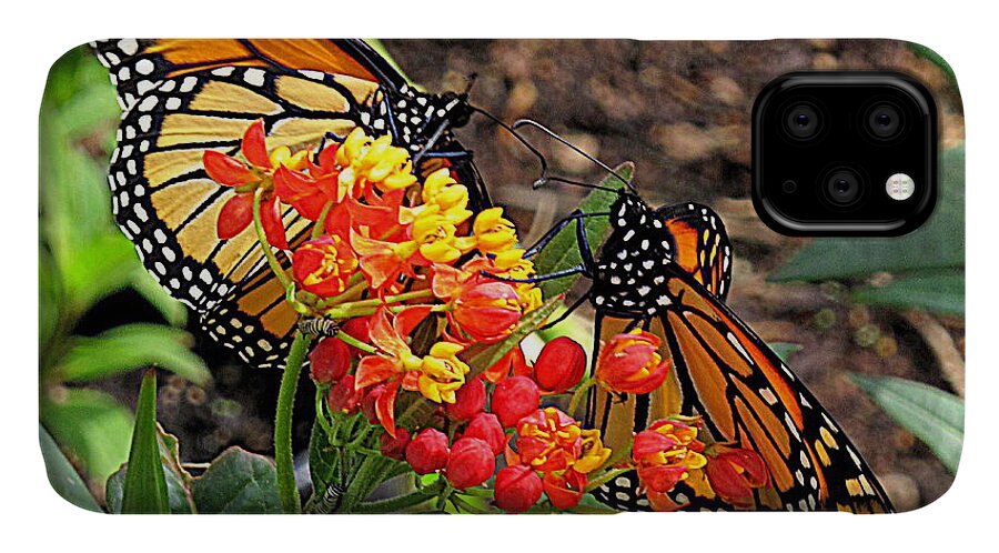 Butterfly iPhone 11 Case featuring the photograph Monarch Handshake by Suzy Piatt