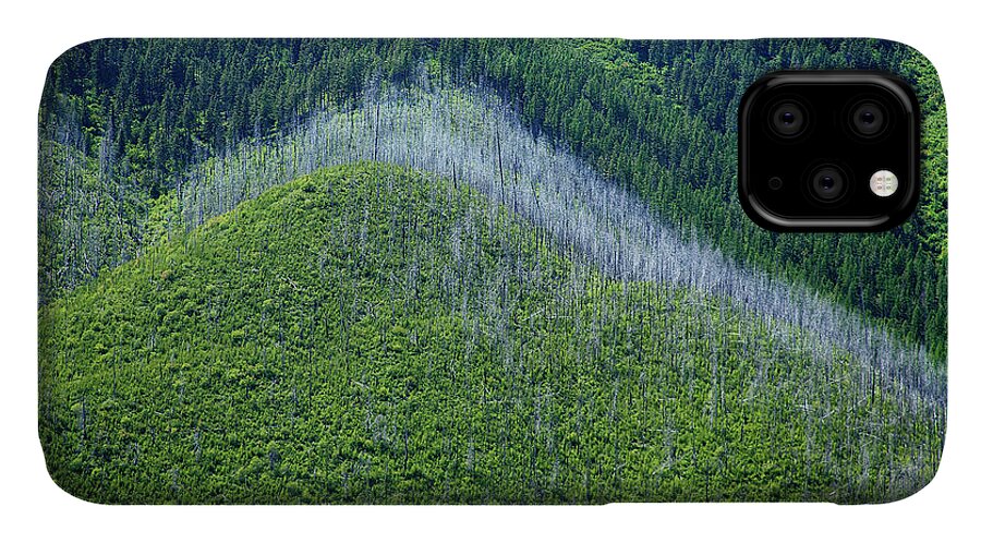 Green Hills iPhone 11 Case featuring the photograph Montana Mountain Vista #4 by David Chasey