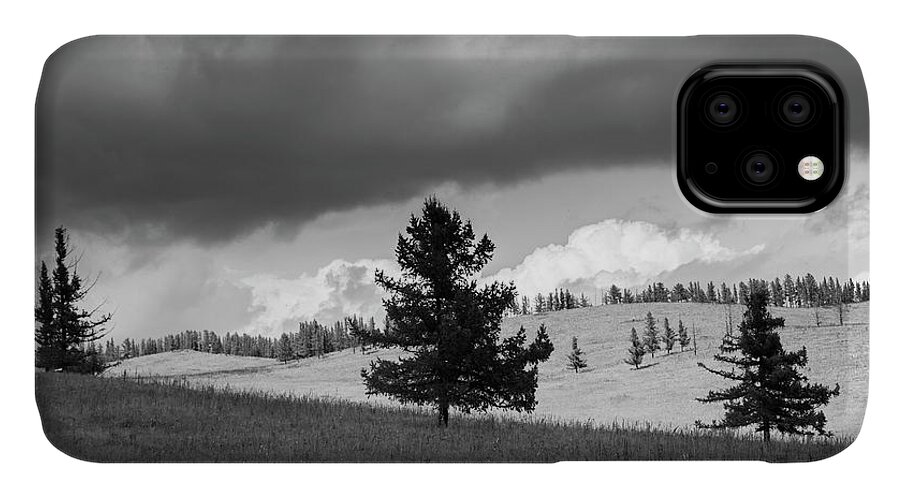 Moody iPhone 11 Case featuring the photograph Moody meadow, Tsenkher, 2016 by Hitendra SINKAR