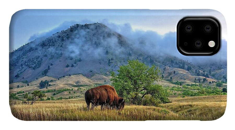 Bison iPhone 11 Case featuring the photograph Morning Shift by Fiskr Larsen