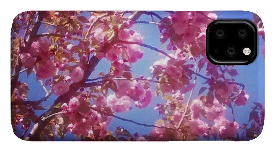 Instagram iPhone 11 Case featuring the photograph My Cherry Blossom Trees Are Just by Genevieve Esson
