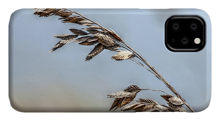 Hummingbird iPhone 11 Case featuring the photograph Nature's hummingbird by Pete Rems