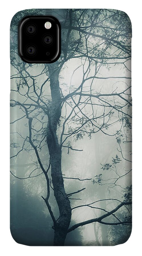 Fog iPhone 11 Case featuring the photograph Nightfall by Amy Weiss