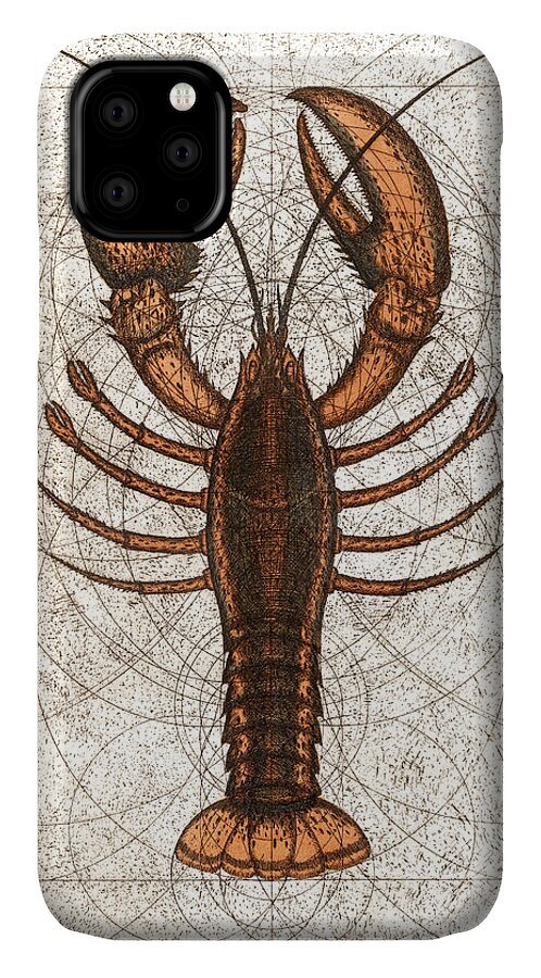 Lobster iPhone 11 Case featuring the painting Northern Lobster by Charles Harden