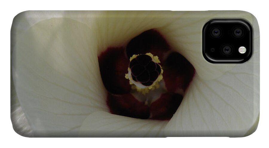 Culinary iPhone 11 Case featuring the photograph Okra Blossom by Randy Bodkins