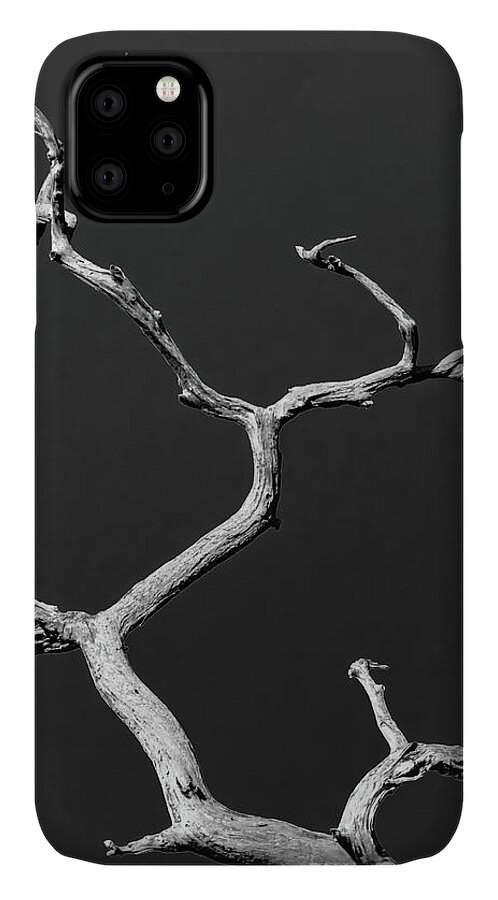 Tree iPhone 11 Case featuring the photograph Old Wood I by Robert Mitchell