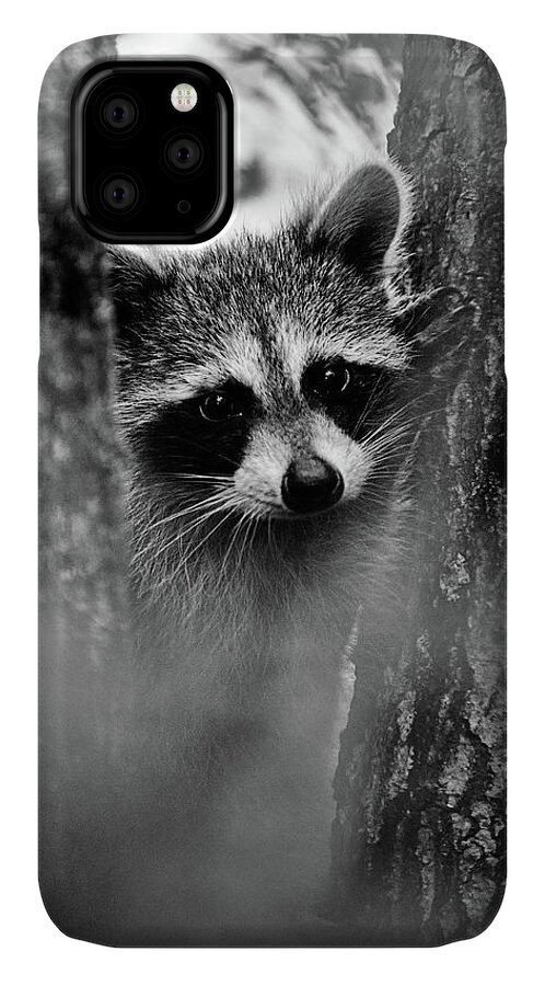 Racoon iPhone 11 Case featuring the photograph On Watch - BW by Christopher Holmes