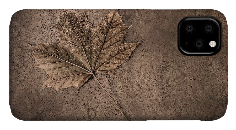 Scott Norris Photography iPhone 11 Case featuring the photograph One Leaf December 1st by Scott Norris