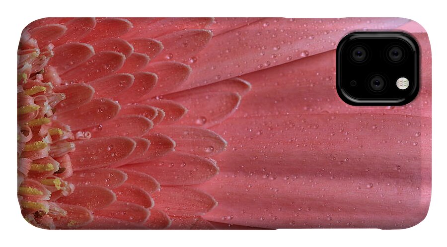 Daisy iPhone 11 Case featuring the photograph Oopsy Daisy by Shelley Neff