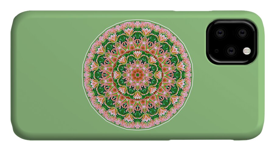 Tulips iPhone 11 Case featuring the digital art Orange Blush by Lynde Young