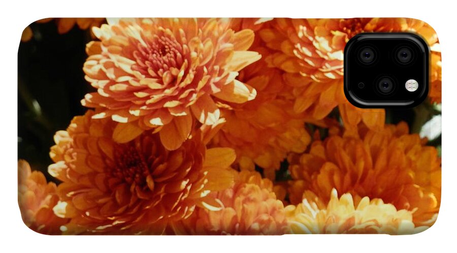 Orange iPhone 11 Case featuring the photograph Orange Glory by Deborah Kunesh