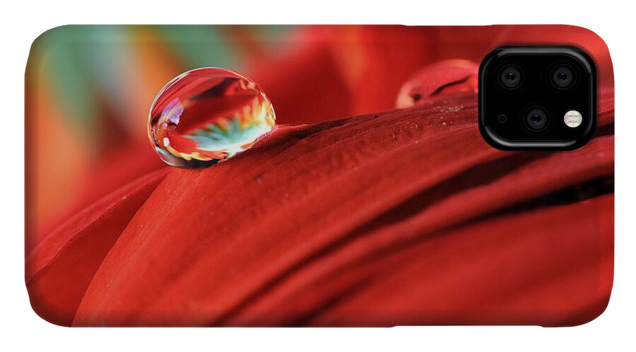 Macro iPhone 11 Case featuring the photograph Orange Petals and Water Drops by Angela Murdock